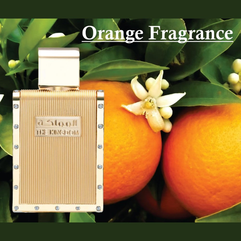 Ard Al Zaffran the kingdom men EDP 100ML